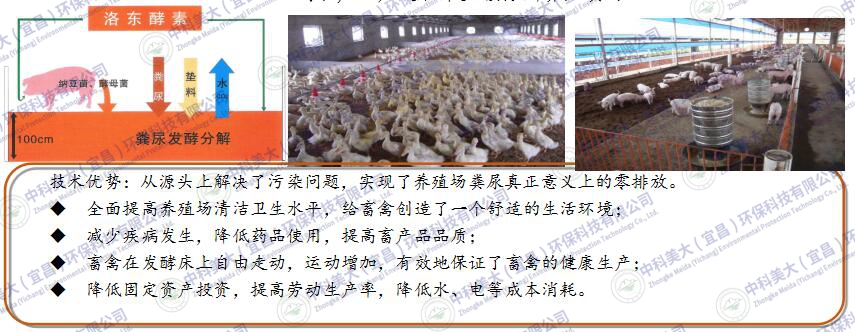 &#24320;&#20113;&#25163;&#26426;